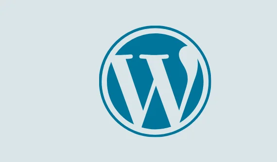 wordpress entegrasyon - Entegrasyonlar